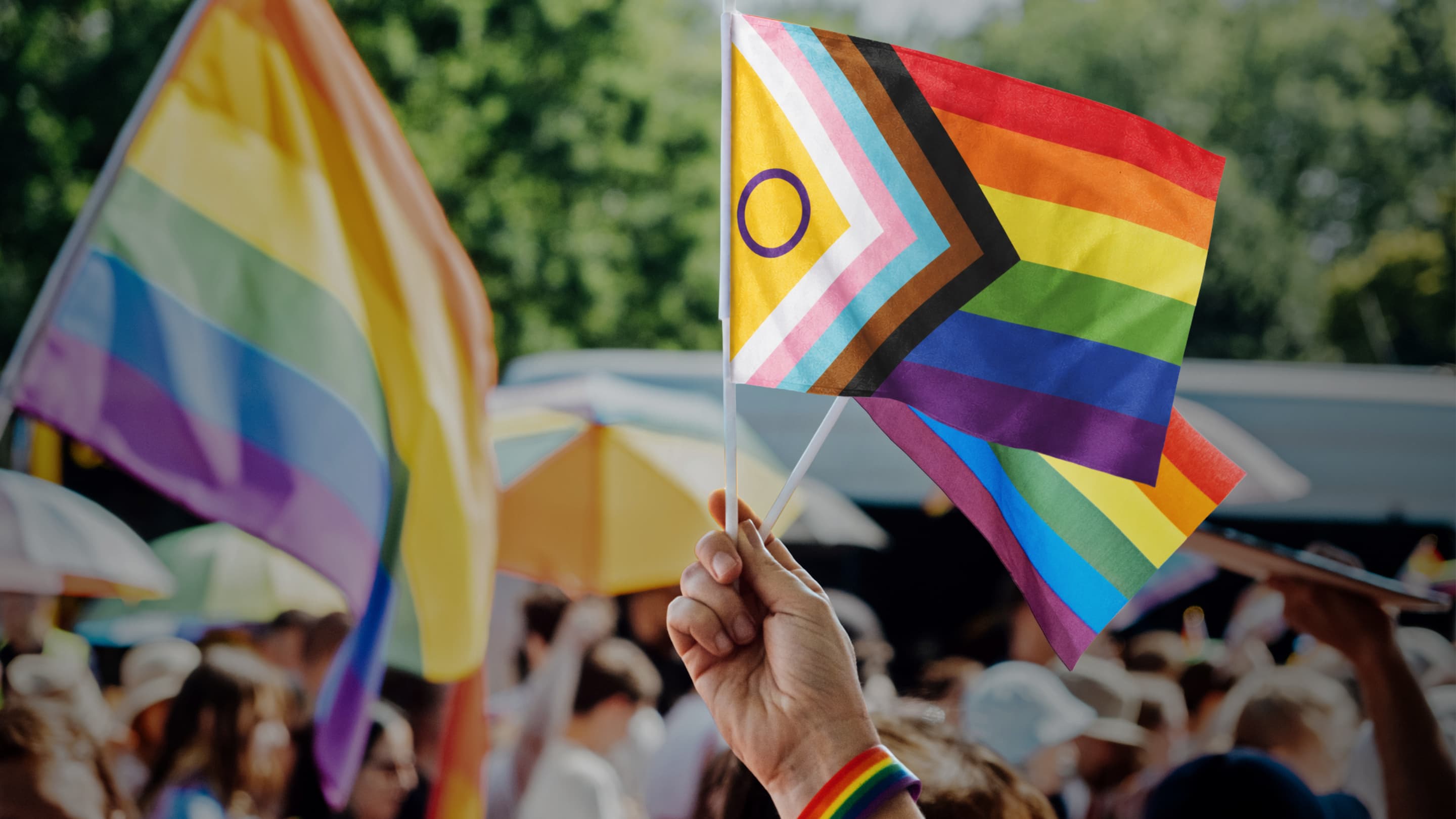 Pride-Flaggen in der Hand vor Parade-Hintergrund